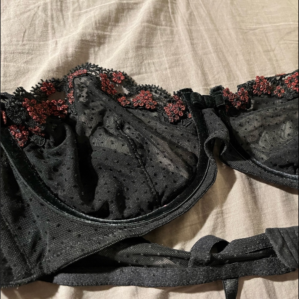 Rosanna Ansaloni embroidered sheer bra.